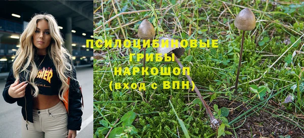 не бодяженный Армянск
